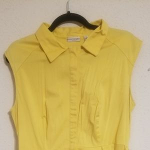 Eva Mendez New York & Company dress